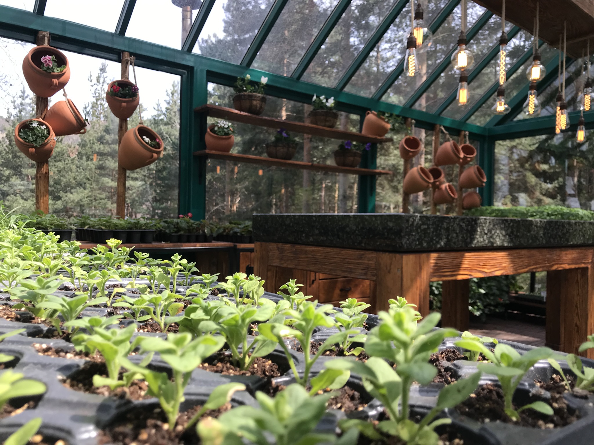 Greenhouse design