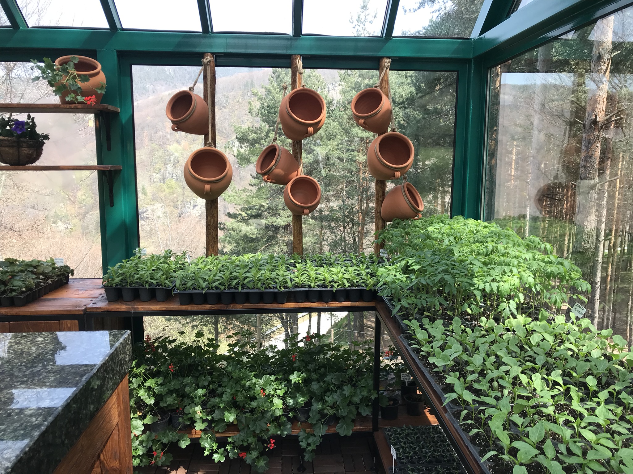 green interior design